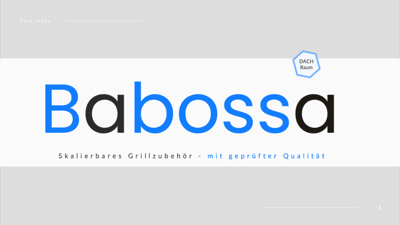 Babossa Fallstudie zur strukturierten China Beschaffung von Grillzubehör für den DACH Raum mit Fokus auf geprüfte Qualität und Skalierbarkeit